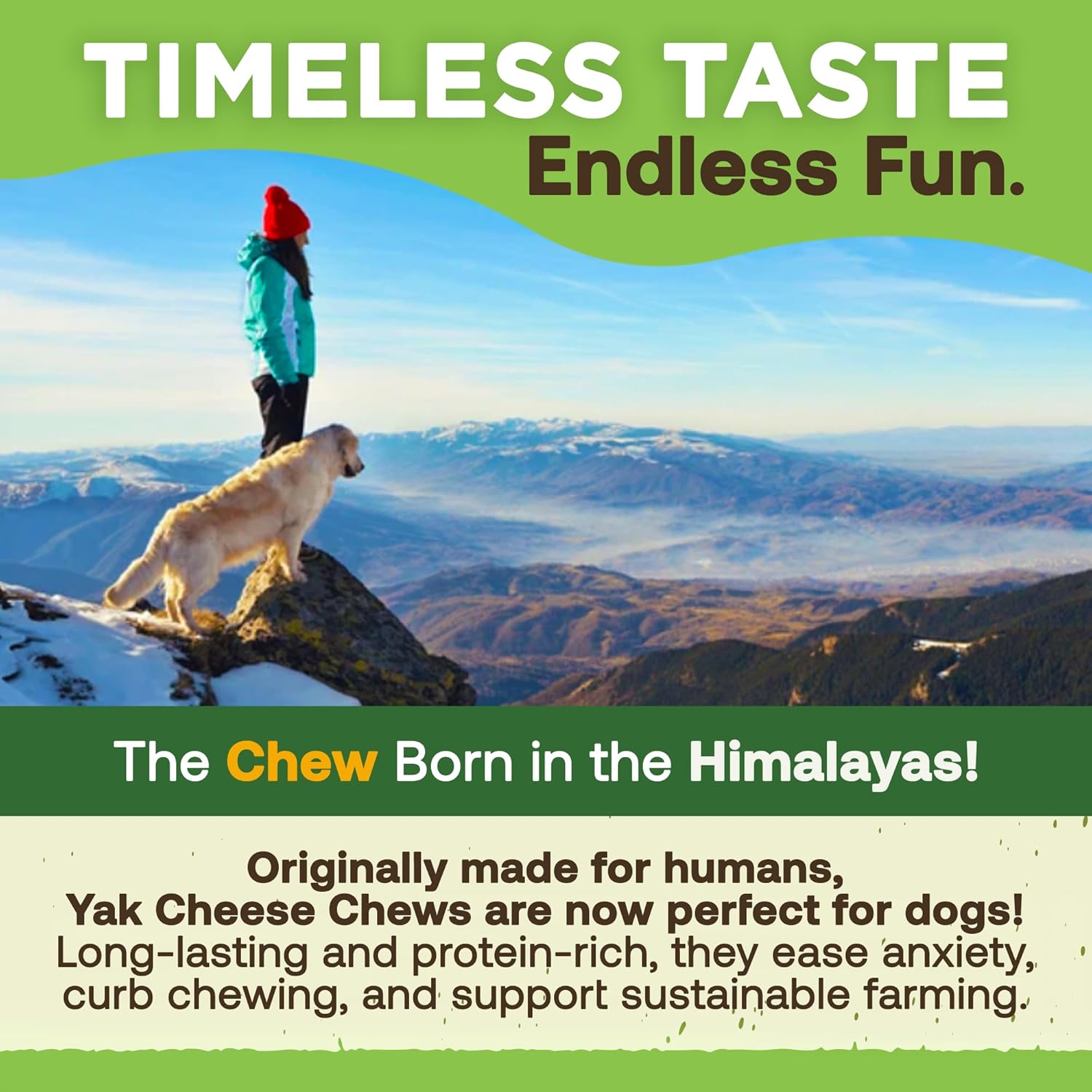 Gold Yak Chews for Small Dogs (4 - 75 sticks) - My Store